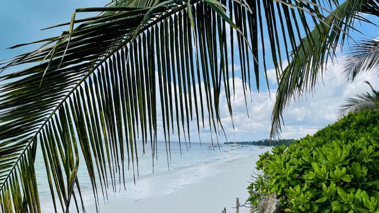 Palumboreef Beach Resort ウロア エクステリア 写真