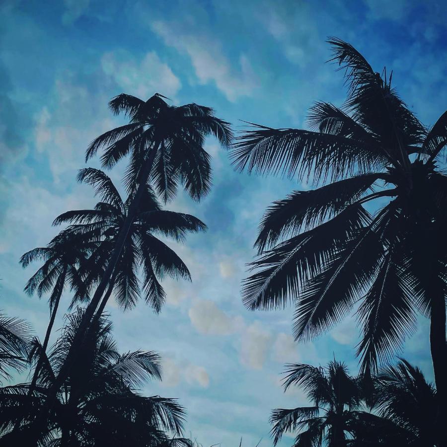 Palumboreef Beach Resort ウロア エクステリア 写真