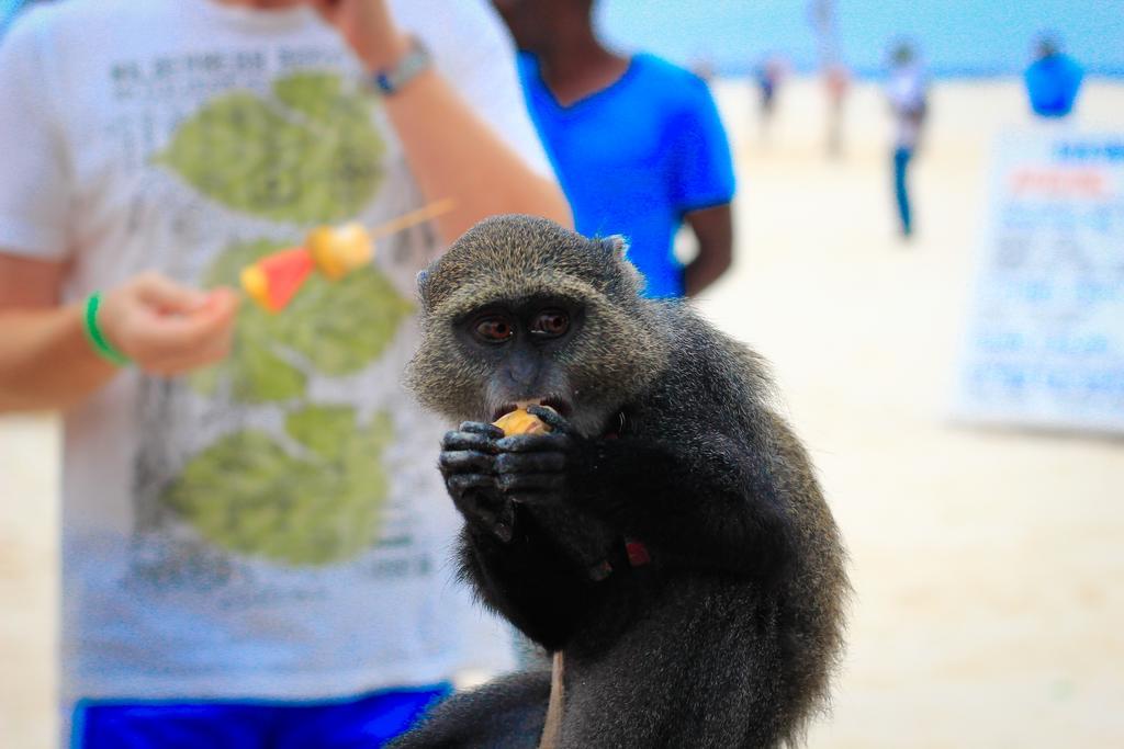 Palumboreef Beach Resort ウロア エクステリア 写真